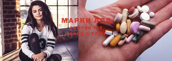 ПСИЛОЦИБИНОВЫЕ ГРИБЫ Осташков