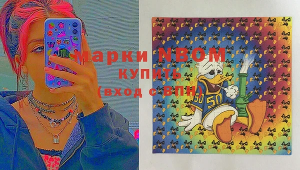 ПСИЛОЦИБИНОВЫЕ ГРИБЫ Осташков