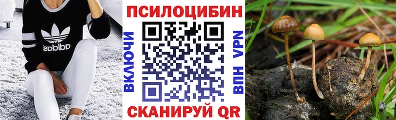 купить закладку Пыталово KRAKEN рабочий сайт Галлюциногенные грибы GOLDEN TEACHER